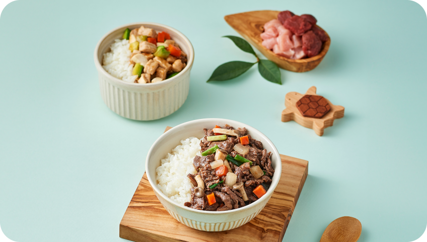 영양식 밥, 국, 찬 하루 식단 완성